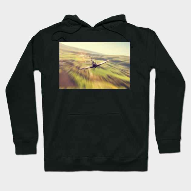 Reign Of Spitfire Hoodie by aviationart